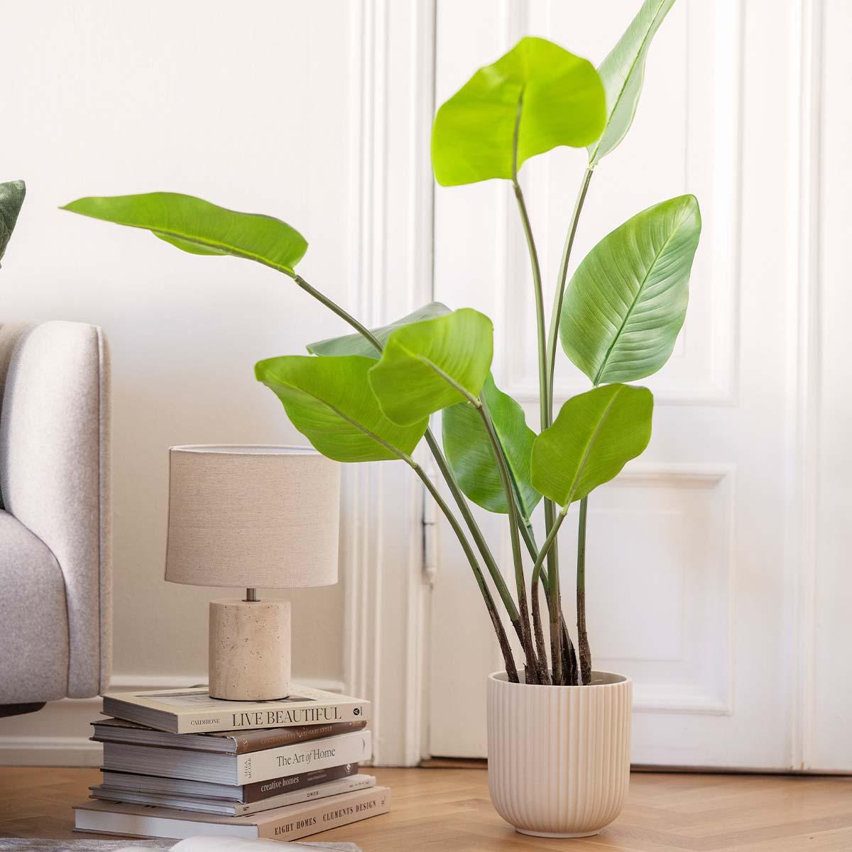 høye vaser med grønne planter