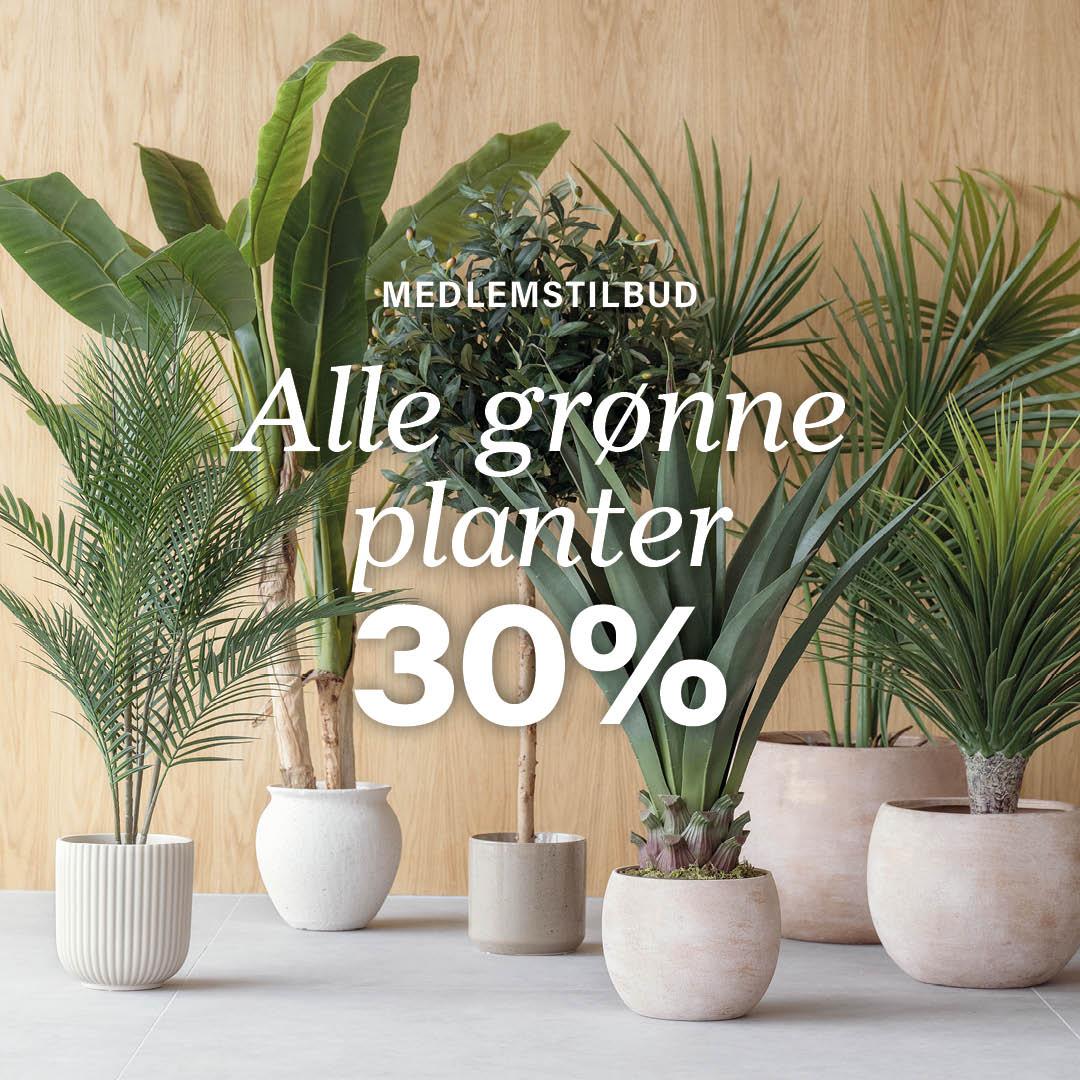 Grønne planter tilbud banner