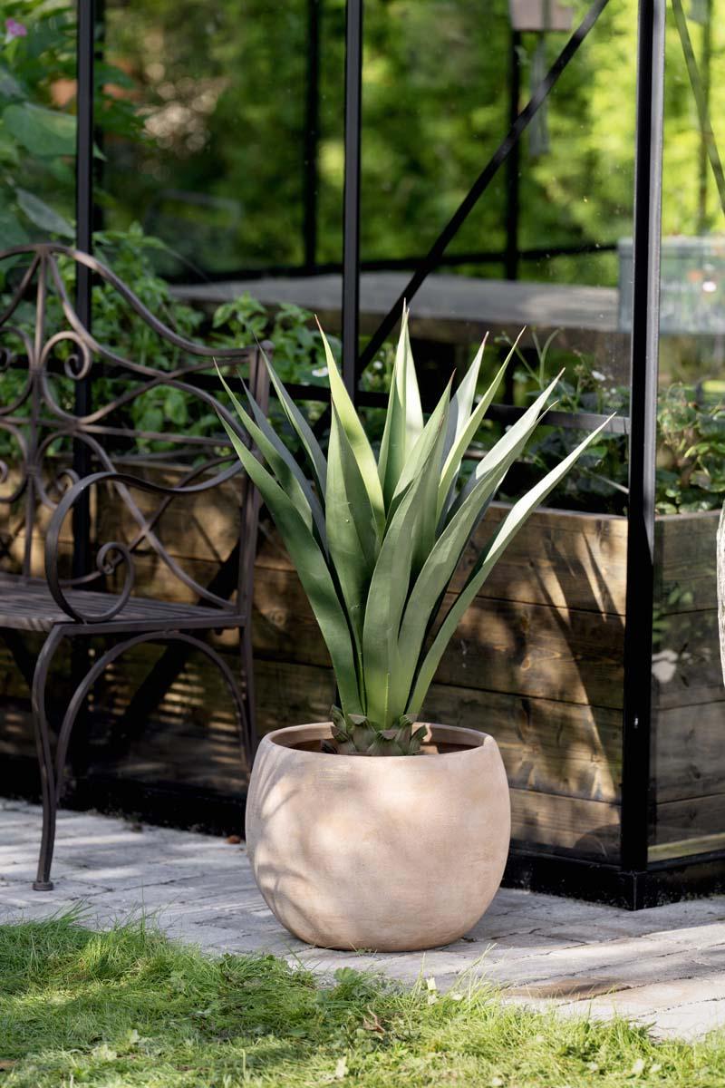 Utepotter Isla og Mandy