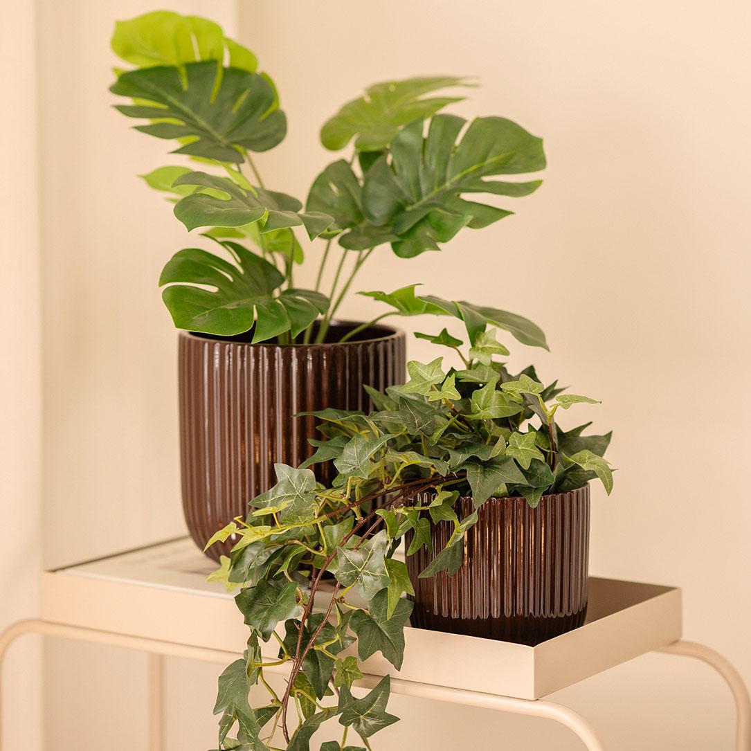 høye vaser med grønne planter