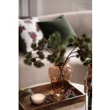 Gren furu i vase på lysfat