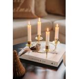 Fugl på klype Noah på adventsstake