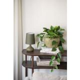 Konsollbord Ethan med lampe Ine og potte Eir