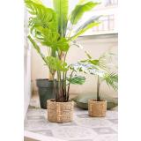 Kurv mona på balkong med planter