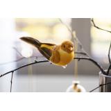 gul fugl med klype på gren