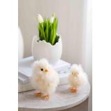 Perleblomst i potte egg med påskekyllinger