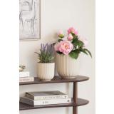 Plante lavendel og peoner i potte riley