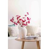 Blomst Kornell i vase alba