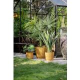 Utepotte Sofia i oker stående ute i hage