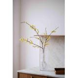 Blomst forsynthia i vase ronja