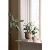 Potte Sandra med planter i vinduskarm