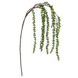 Gren Amarant 112cm