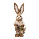 Hare natur gutt med kurv