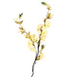 Gren Kirsebærblomst 105cm