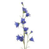 Blomst Blåklokke nærbilde