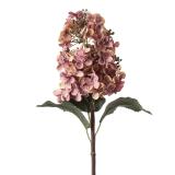 Blomst Syrin 50 cm rosa