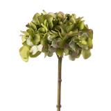 Stilkblomst Hortensia 52 cm grønn