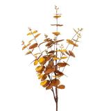 Gren Eucalyptus Oker