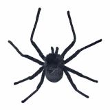 Dekor Edderkopp ovenfra