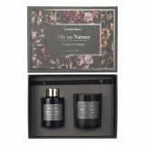 Gavesett Ode to Nature Amber & Tonka