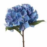 Stilkblomst Hortensia 49 cm blå