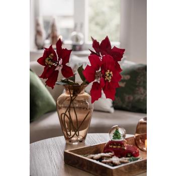 Vase med Julestjerne stilkblomst