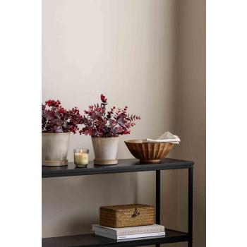 Eucalyptus burgunder i potte på konsollbord