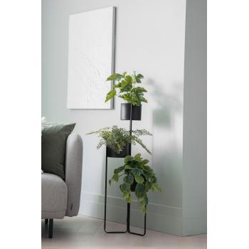 Plante Monstera i pidestall trio