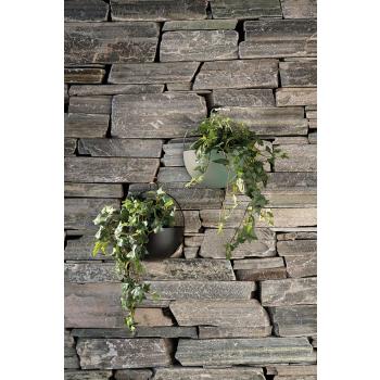 Veggpotte lia hengende på vegg ute med planter