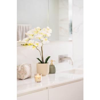 Orkide på baderomsbenk