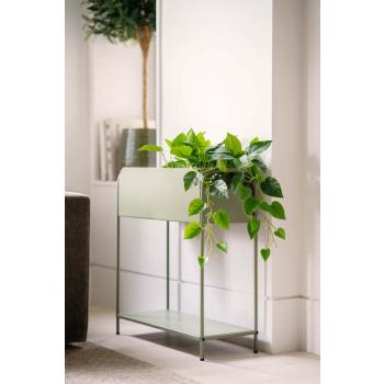 Plantekasse i stue med grønn hengeplante