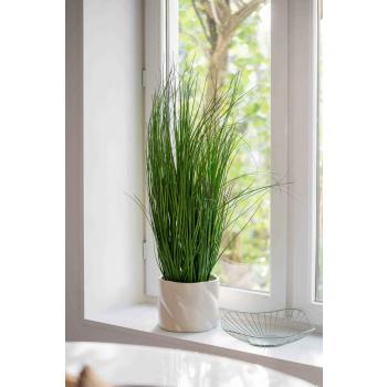 Potte og plante i vinduskram