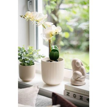 Orkide i potte satt i vinduskarm