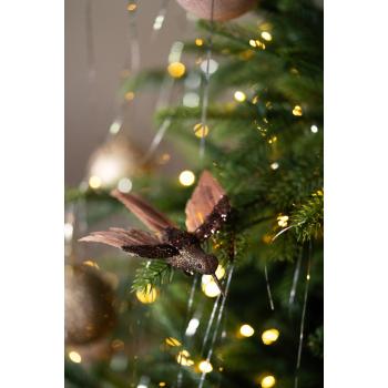 Fugl på klype kolibri brun i juletre nærbilde