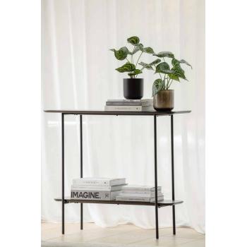 Alocasia plante i potte på hylle