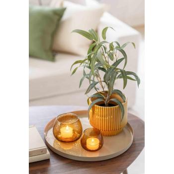 Glimre karamell i to størrelser på lysfat med grønn plante