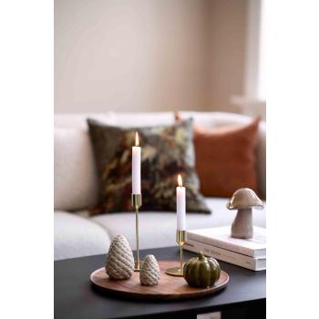 Lysfat Alocasia på stuebord