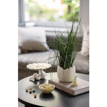Potte egg med gressplante, kaninfat og blomsterskål med minipåskeegg