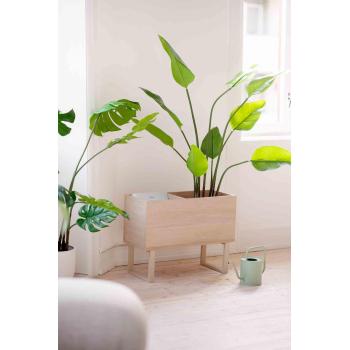 Bladkasse i stue med banantre og magasiner