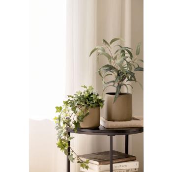 Planter eføy og gren på sidebord