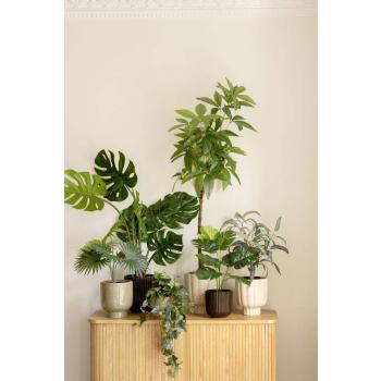 Tre i potte med andre grønne planter