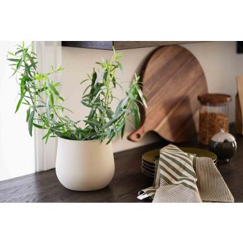 Kjøkkenbenk med plante, håndduk, asjetter og fjøler