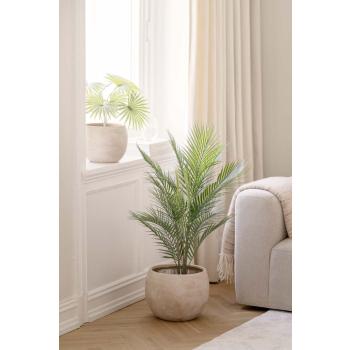 Potte Lydia med plantw livostina og kwai palme