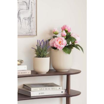 Plante lavendel og peoner i potte riley