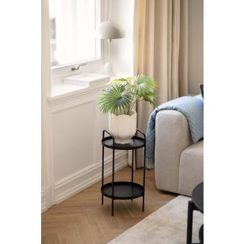 Potte Alice med plante livostina på sidebord