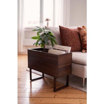 Plante Pachira i bladkasse ved sofa