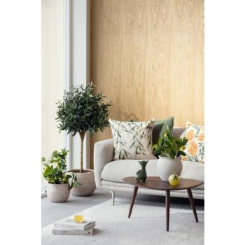 Stue stylet i fresh grønne farger