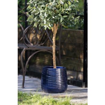 Utepotte Ida med oliven tre