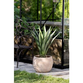 Utepotte Lydia med plante kwai