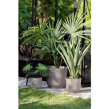 Utepotte Sofia i muldvarp stående ute i hafe